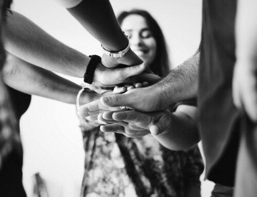 Data Scientists vs. Data Engineers: How to Improve Collaboration